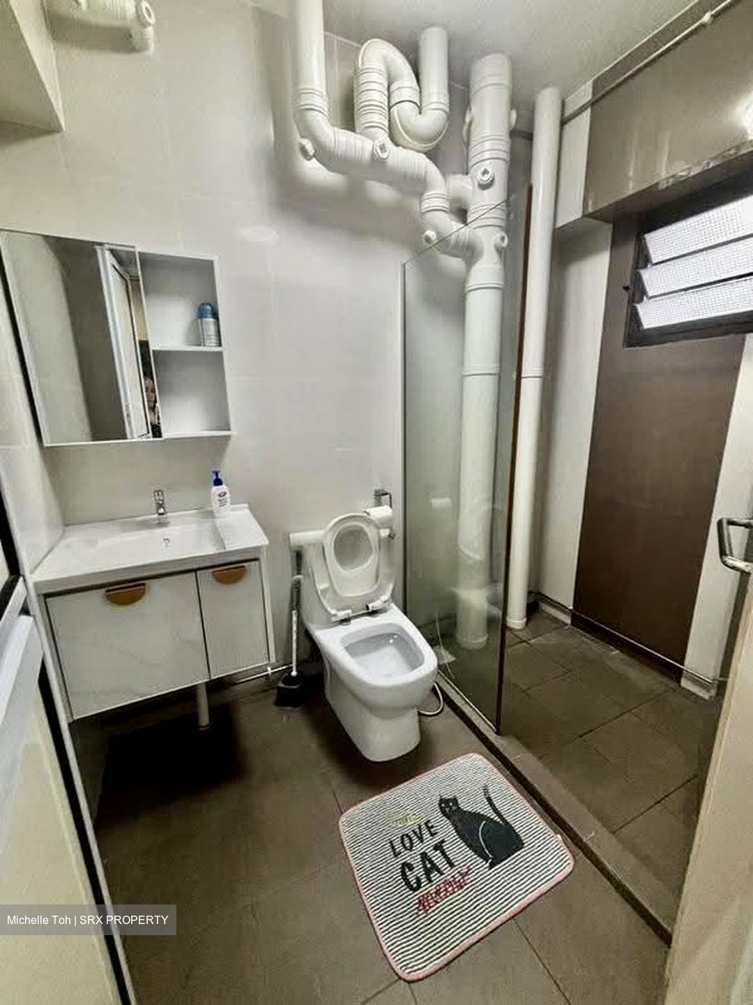 Blk 250A Compassvale Haven (Sengkang), HDB Executive #618684861